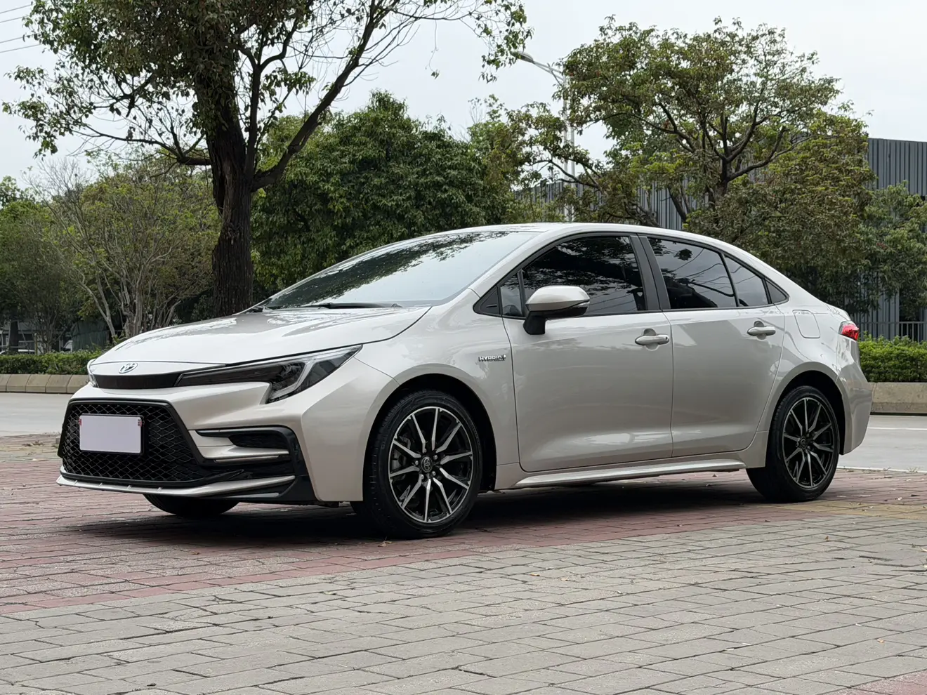 Toyota Levin
