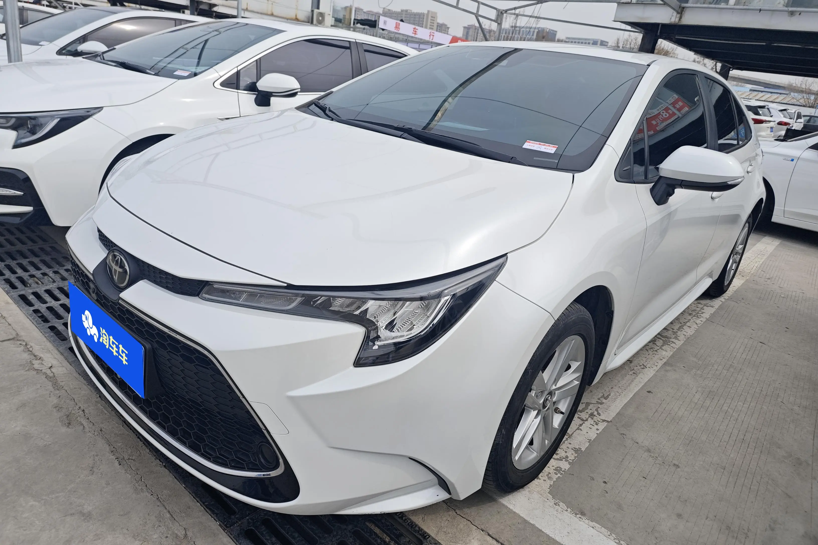 Toyota Levin