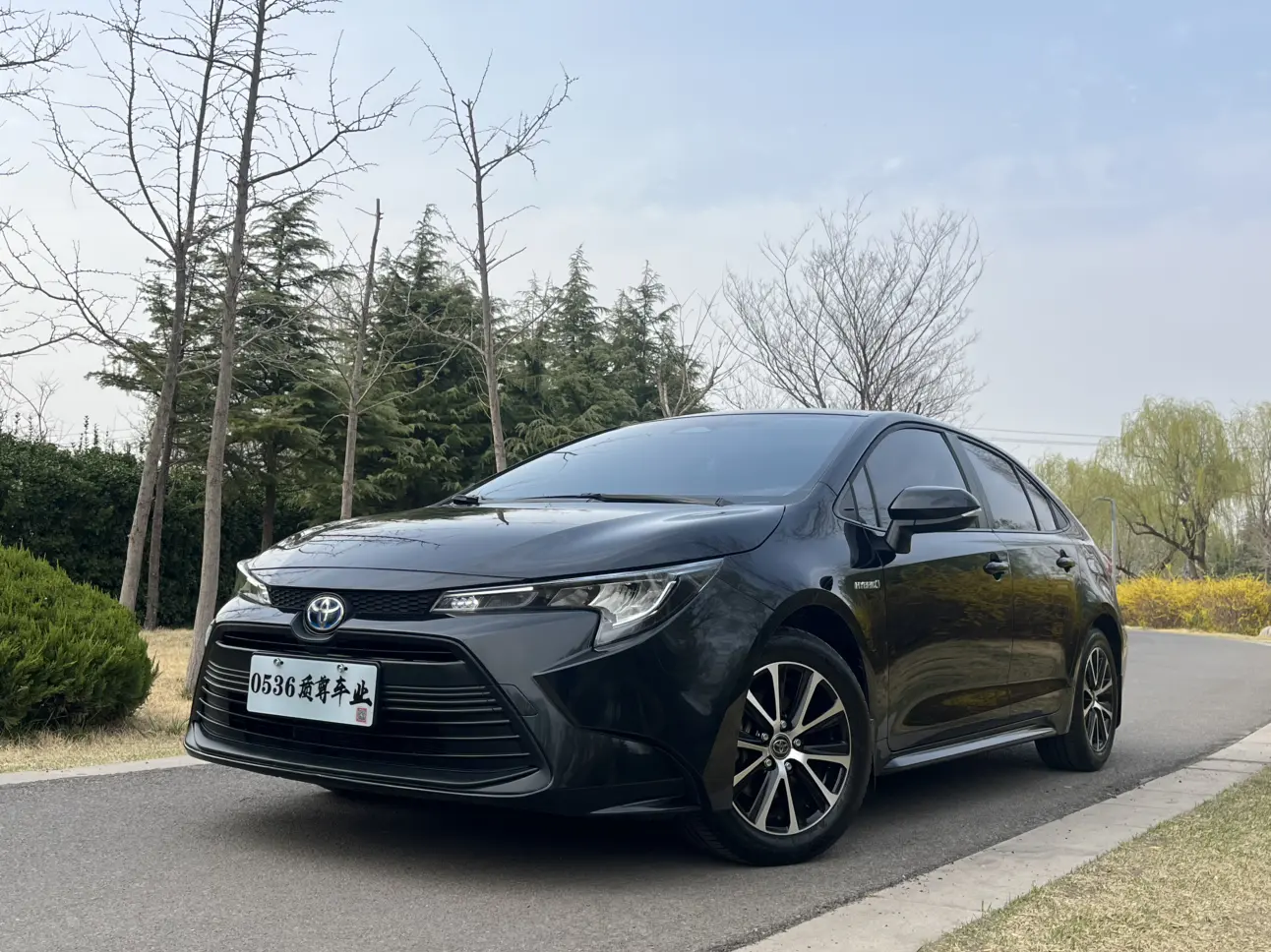 Toyota Levin