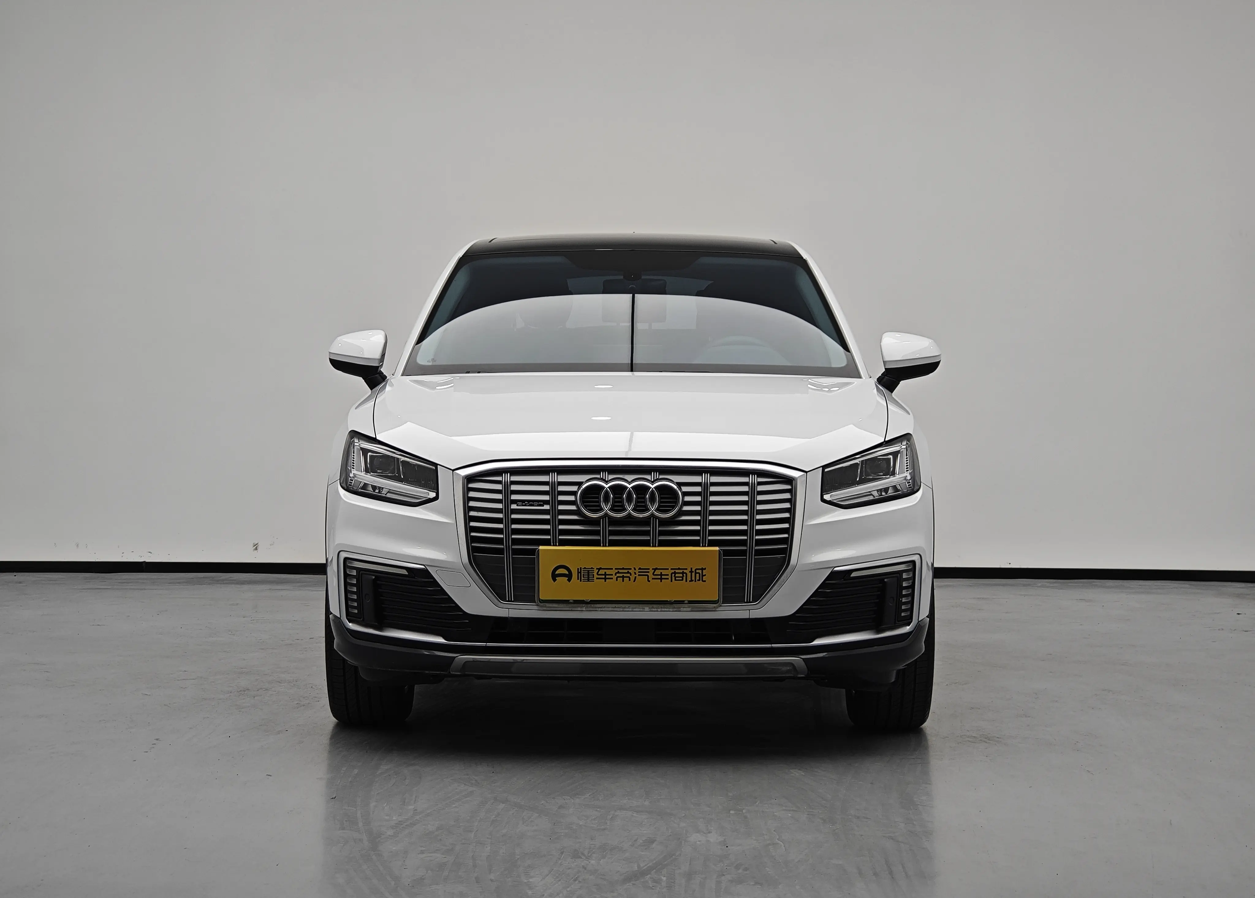 Audi Q2L e-tron  из Китая