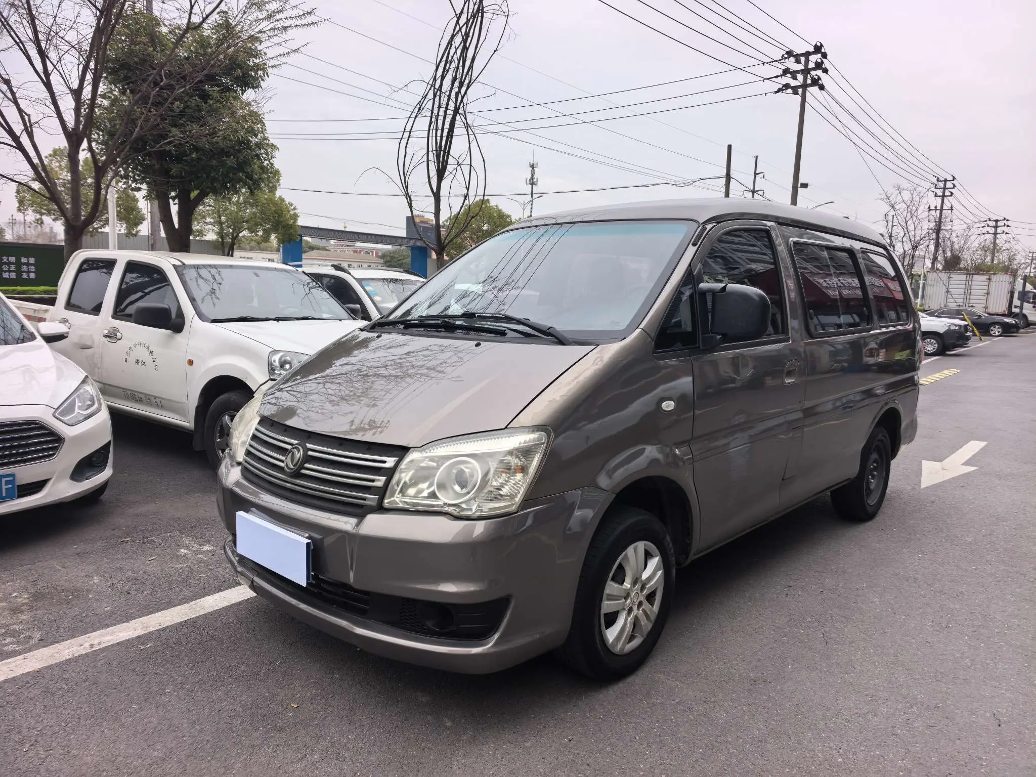 Forthing Lingzhi