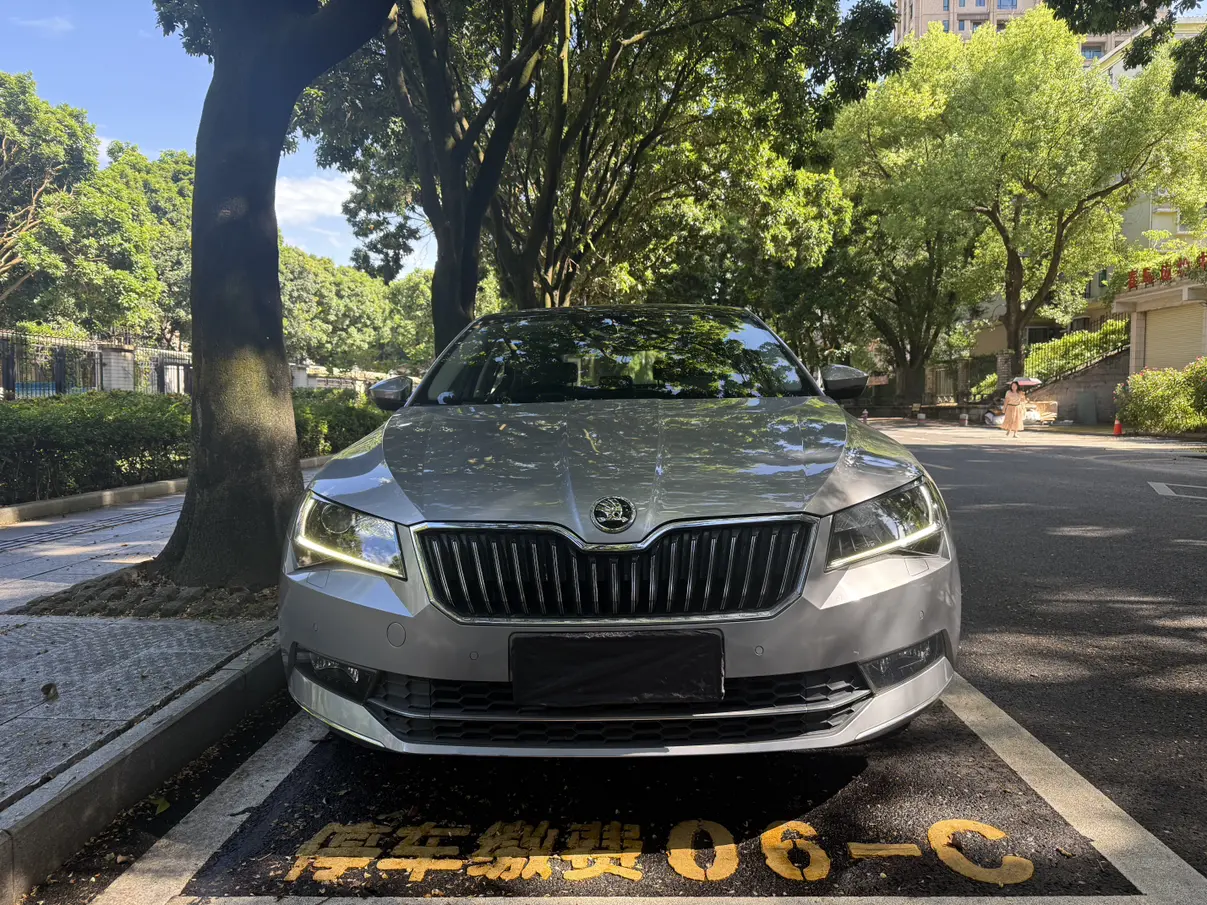 Skoda Speedy  из Китая