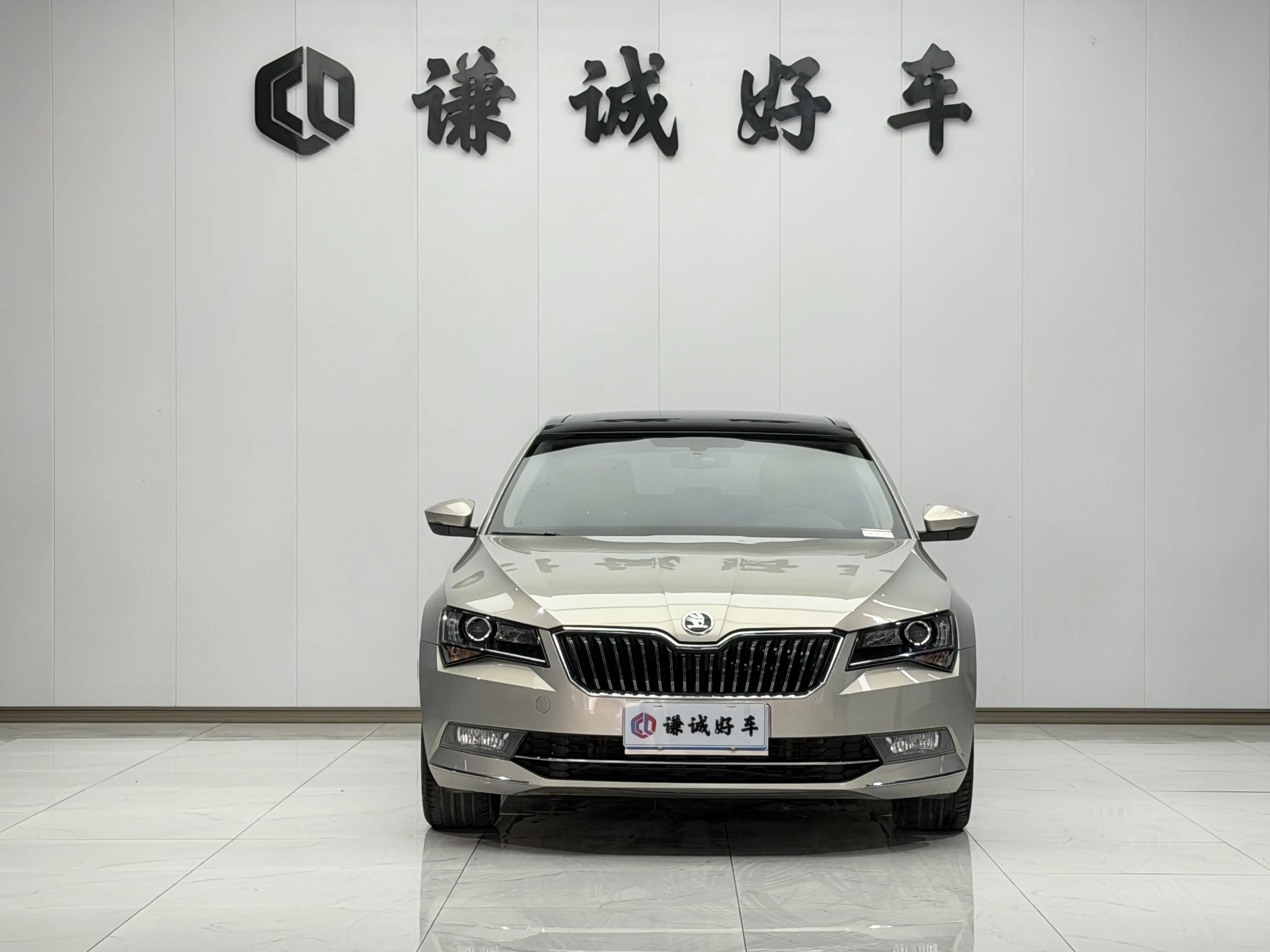 Skoda Speedy  из Китая