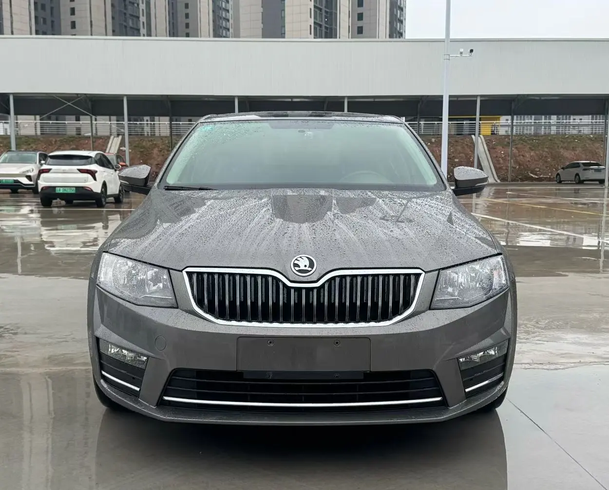 Skoda Octavia  из Китая