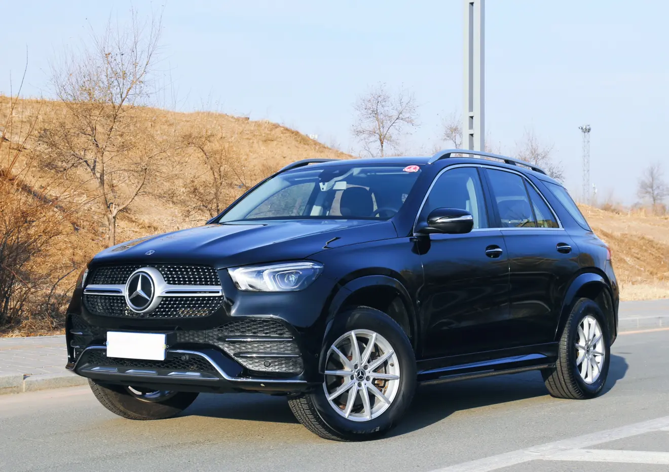 Mercedes-Benz GLE (Imported)