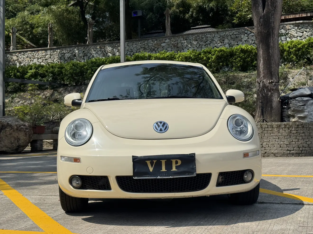 Volkswagen Beetle  из Китая