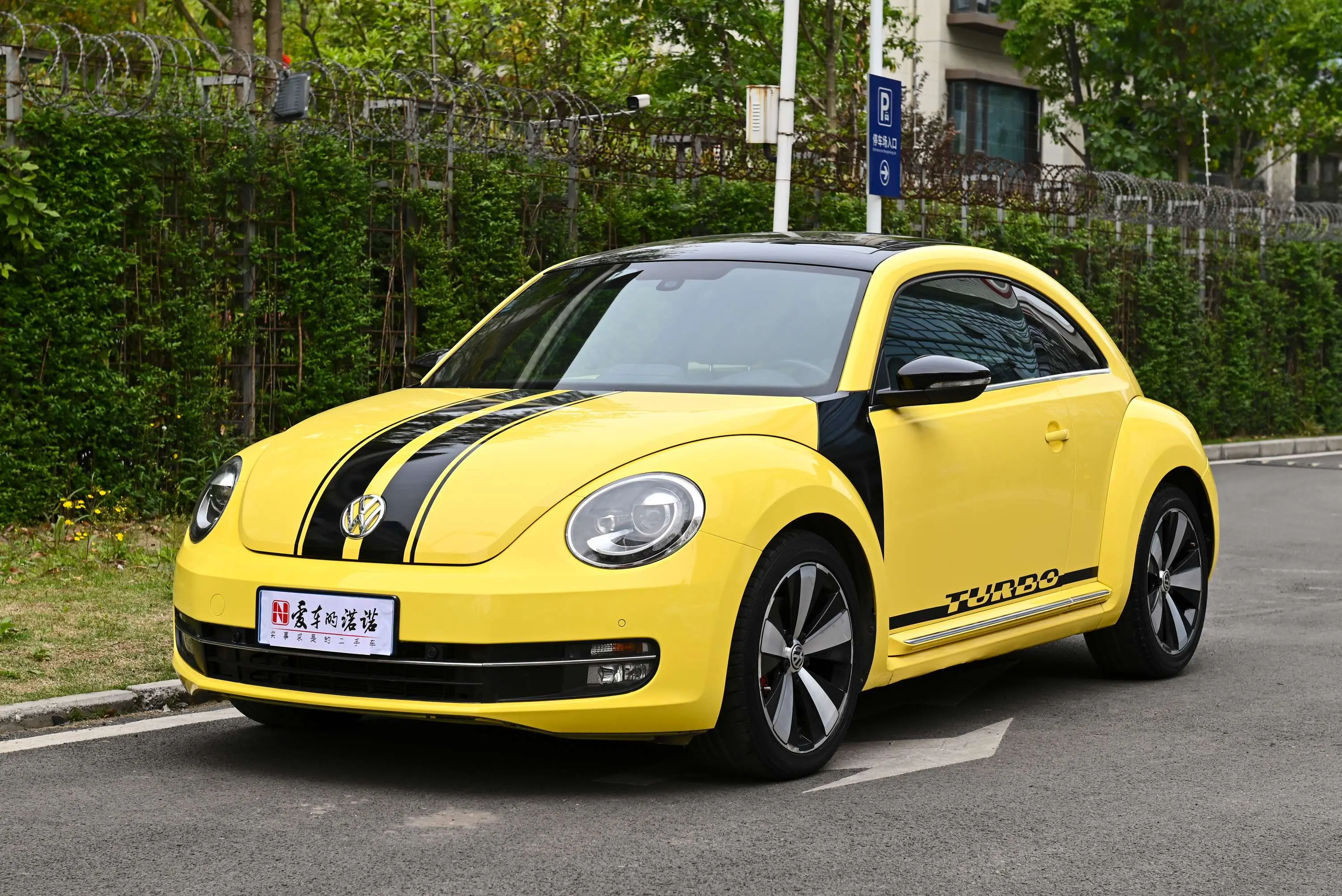 Volkswagen Beetle