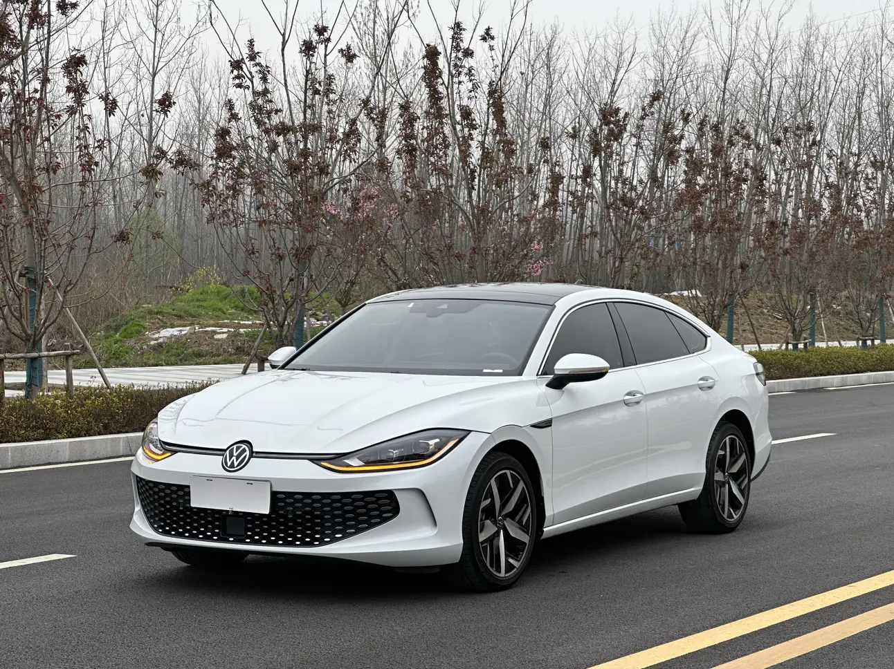 Volkswagen Lamando