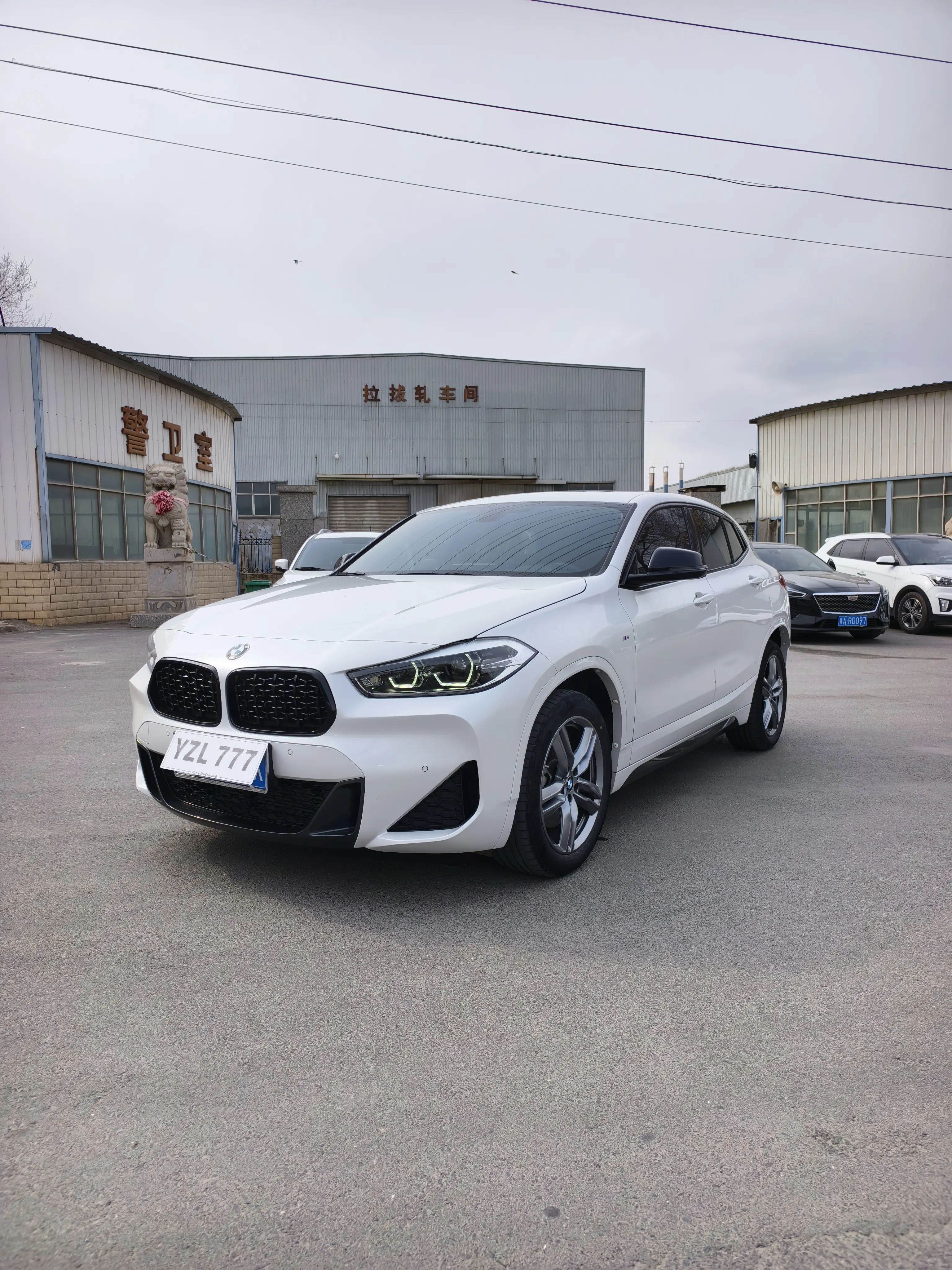 BMW X2