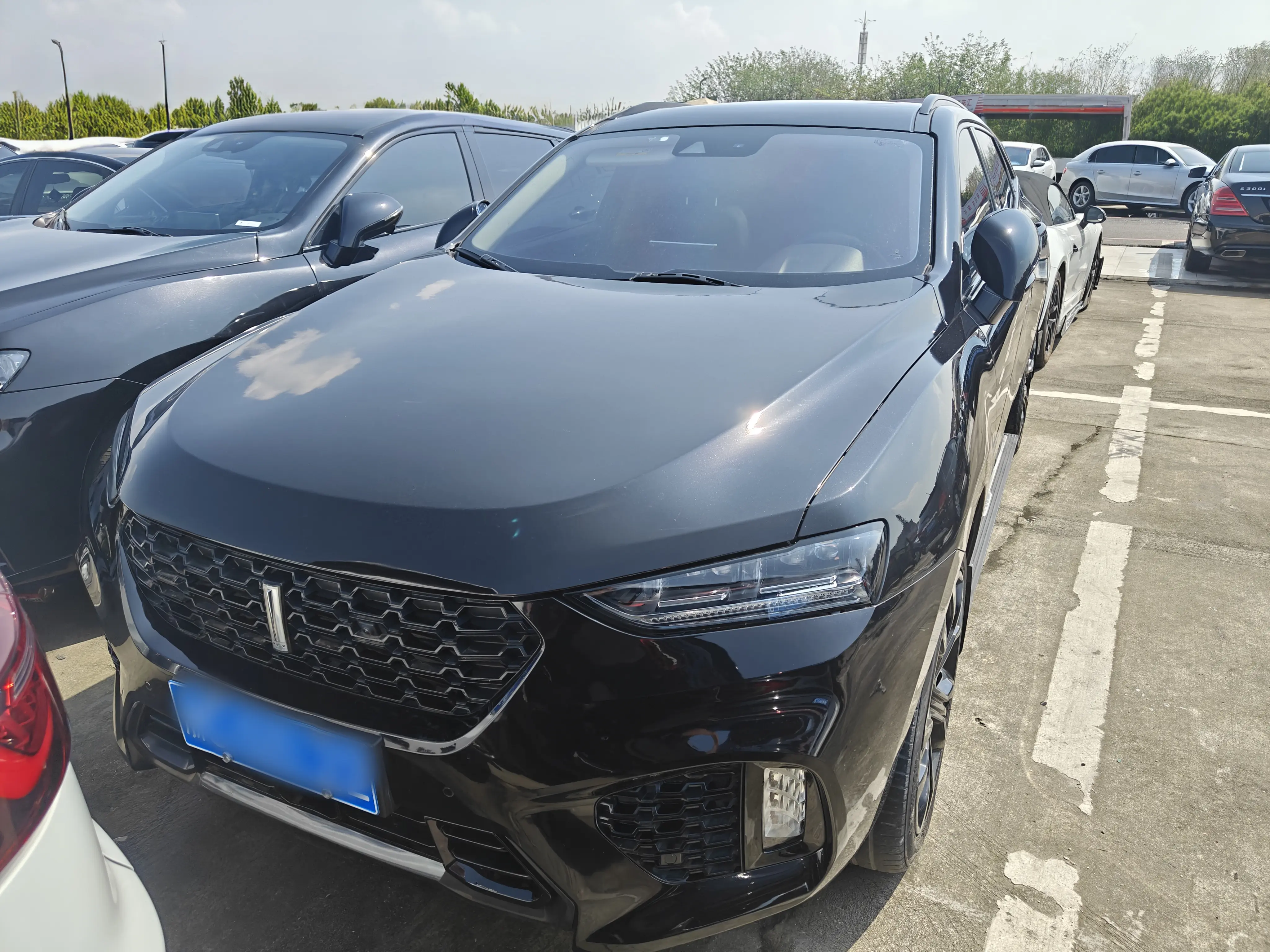 Wey Wei brand VV7