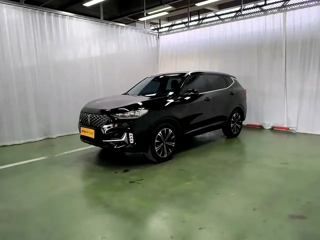 Wey Wei brand VV6