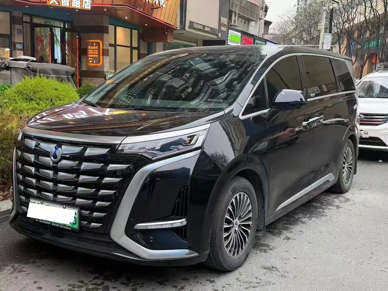 Denza D9 DM