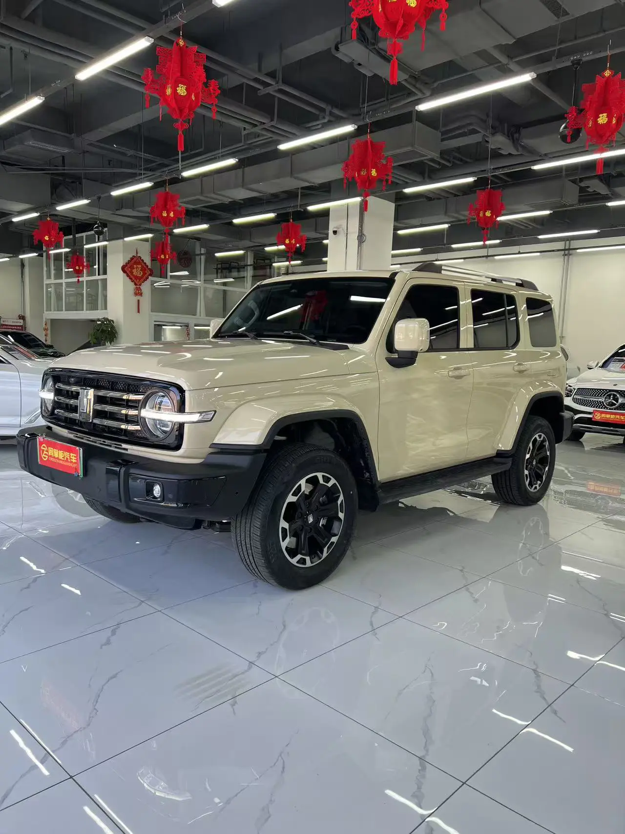 Tank 300 Hi4-T  из Китая