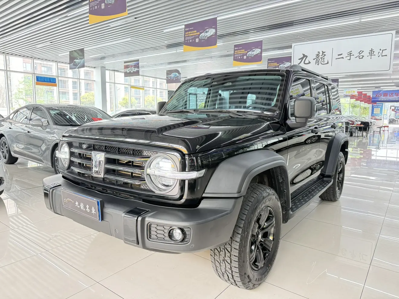 Tank 300