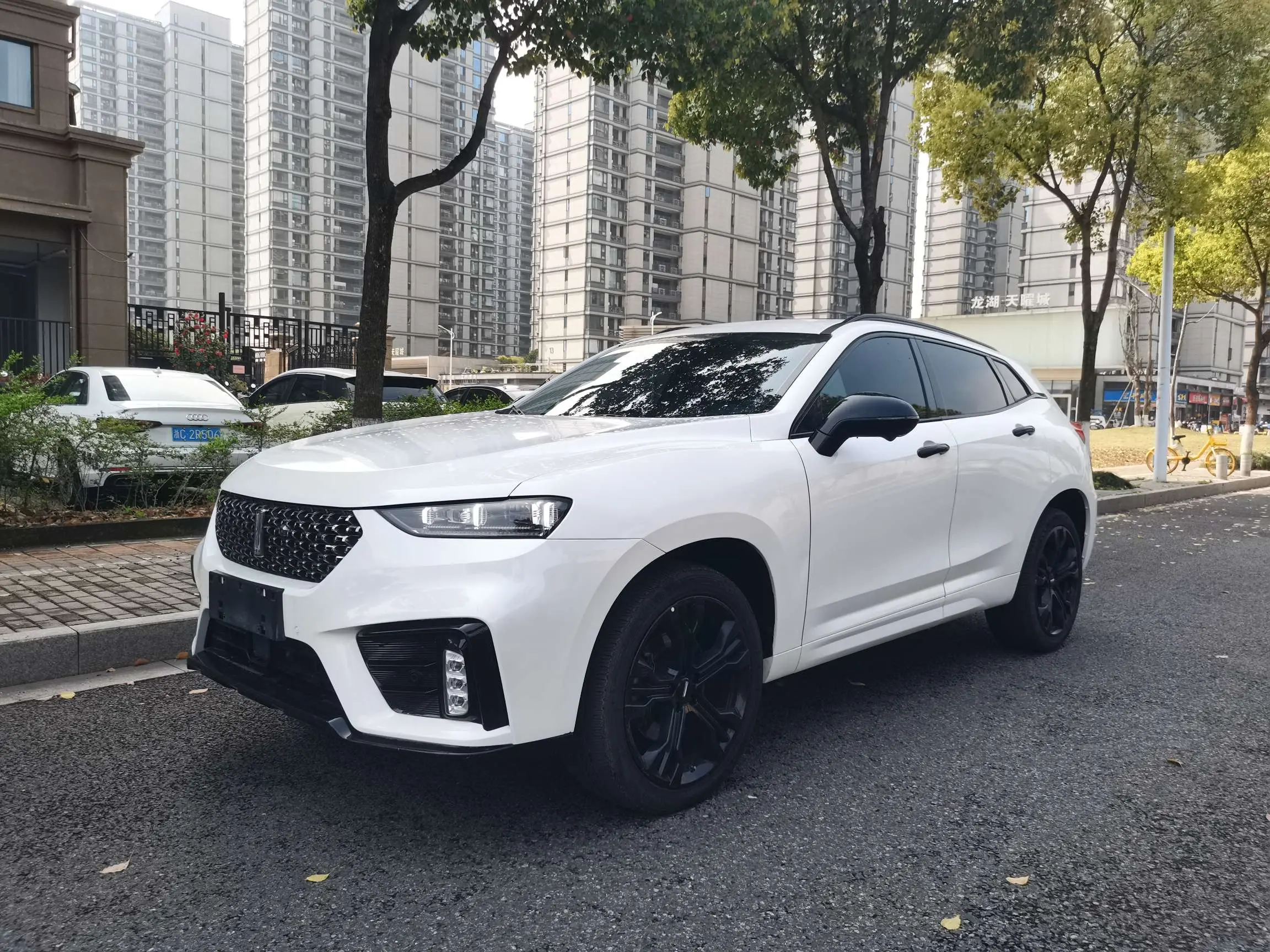 Wey Wei brand VV7