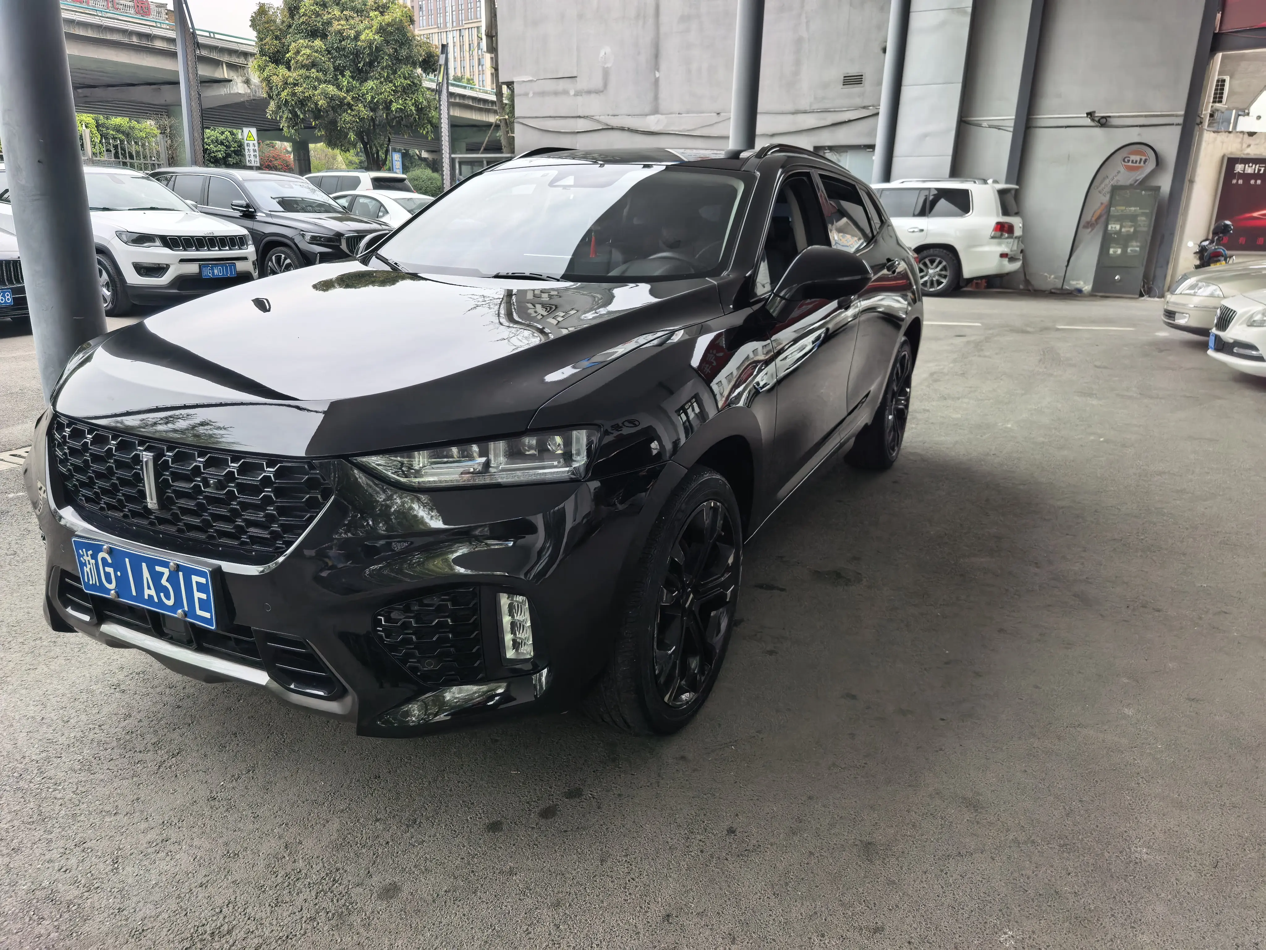 Wey Wei brand VV7