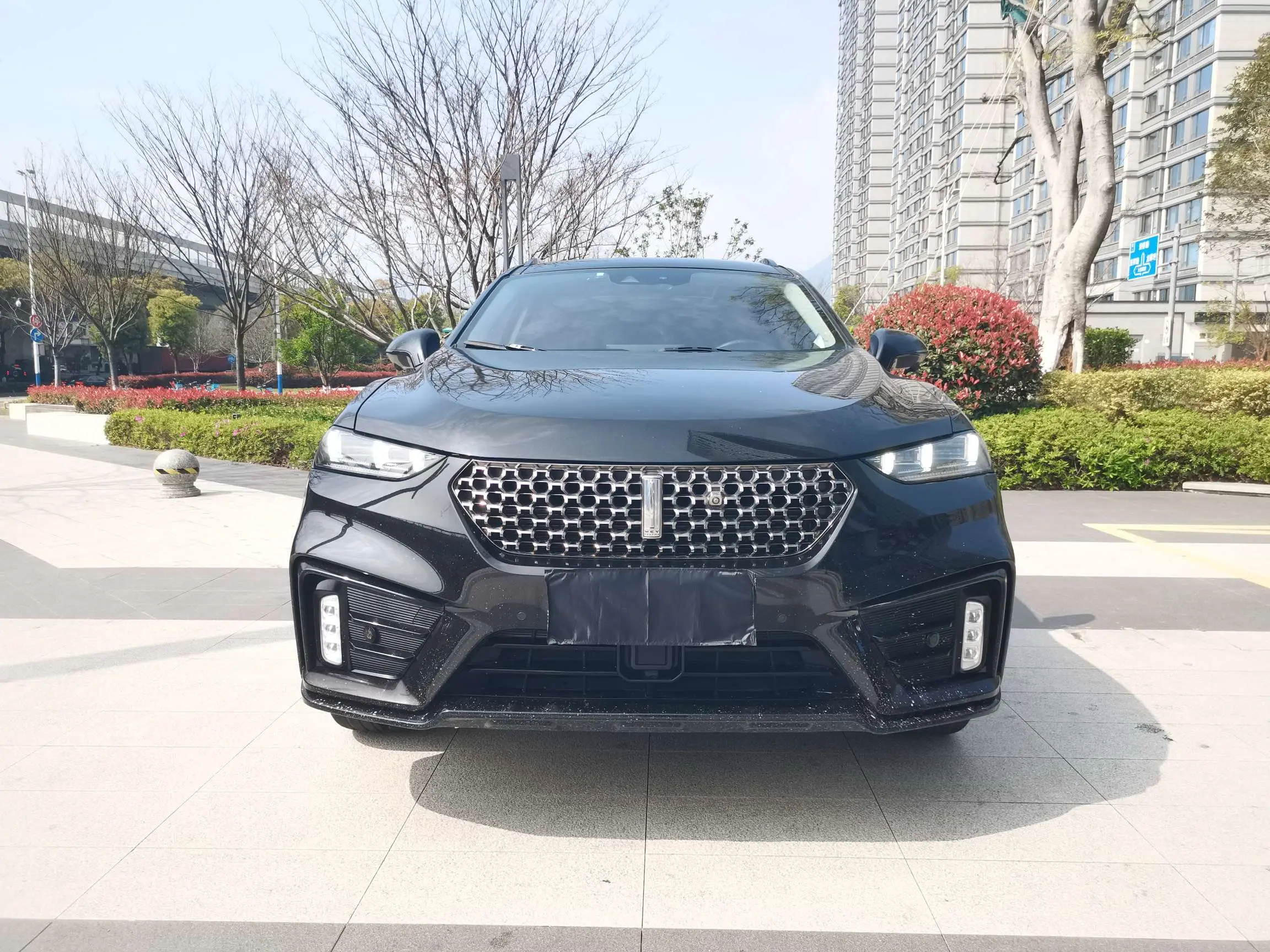 Wey Wei brand VV7