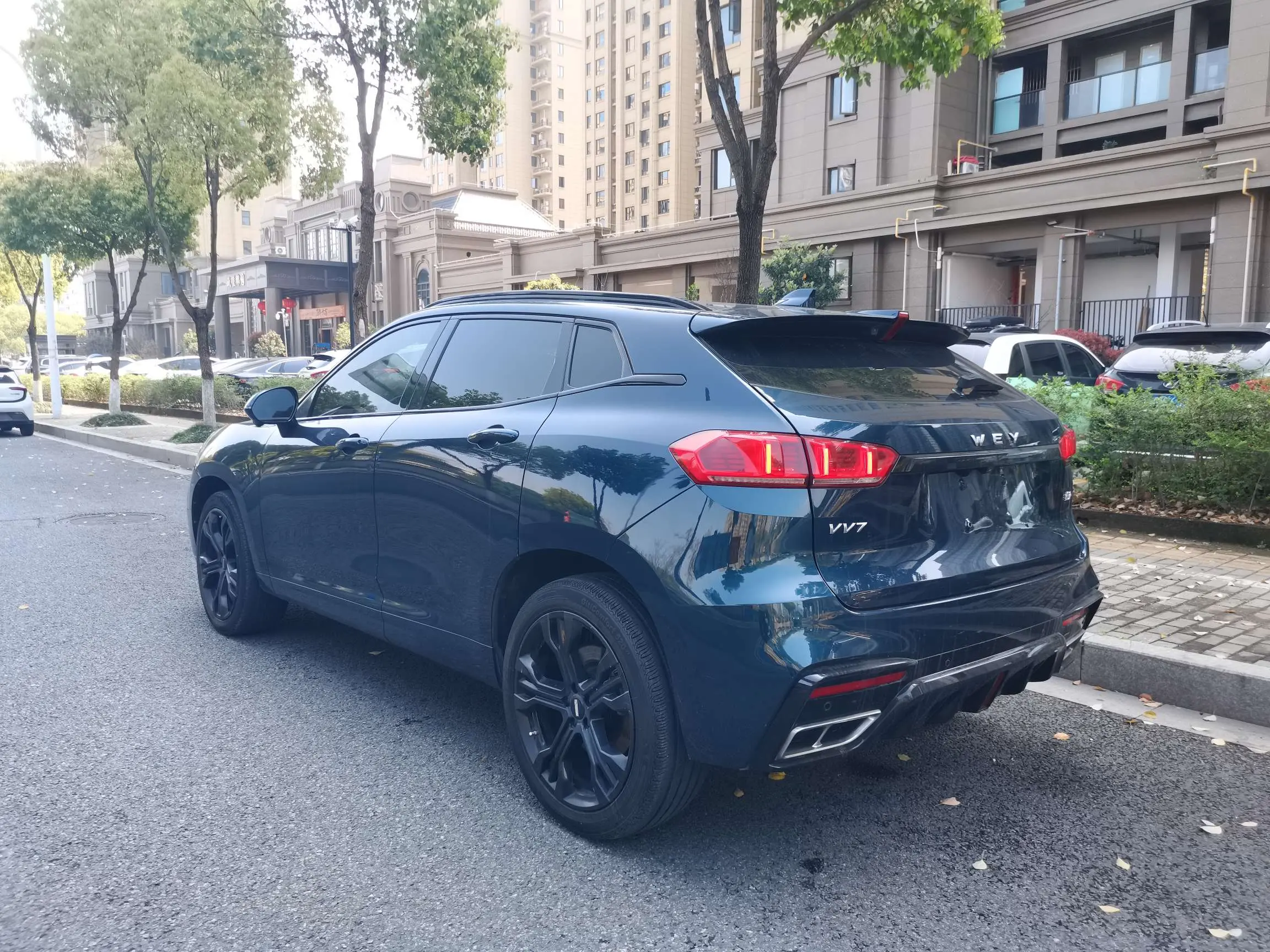 Wey Wei brand VV7