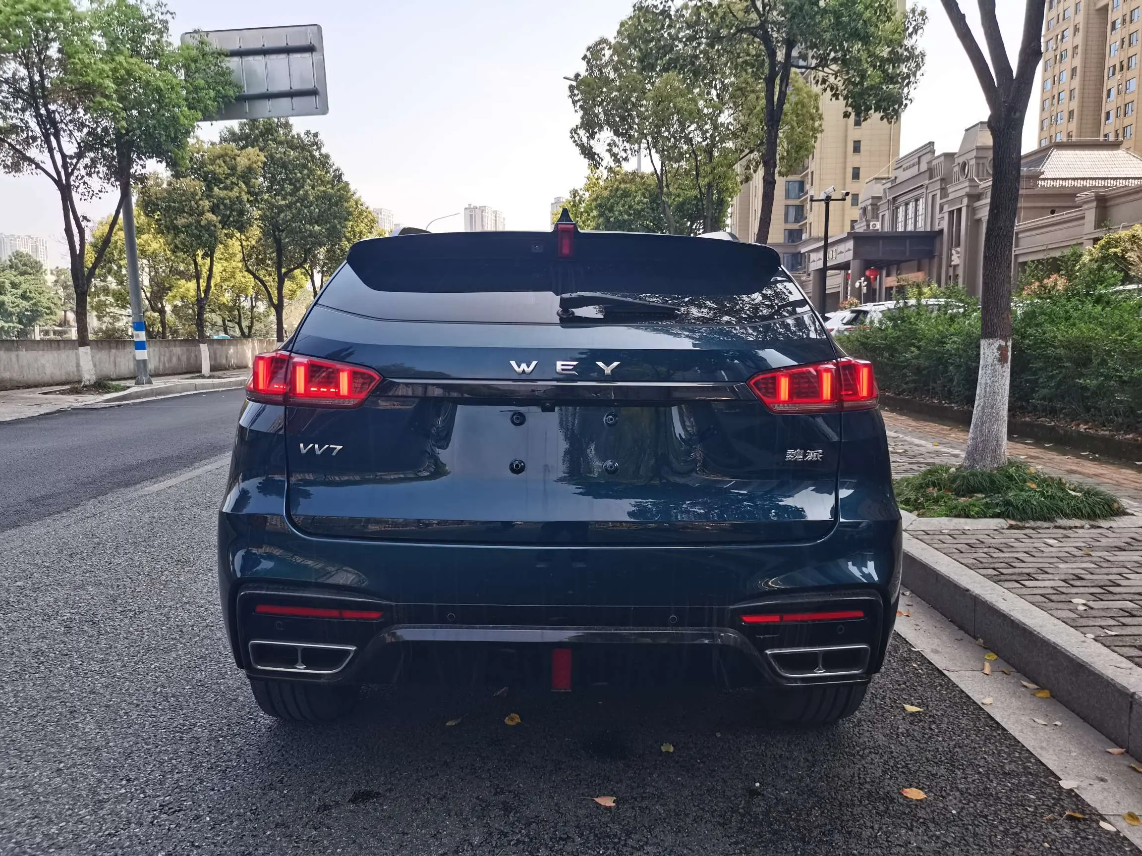Wey Wei brand VV7