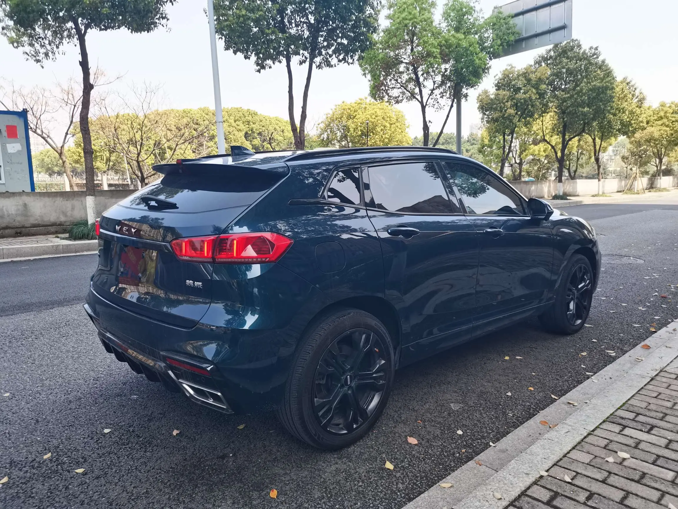 Wey Wei brand VV7