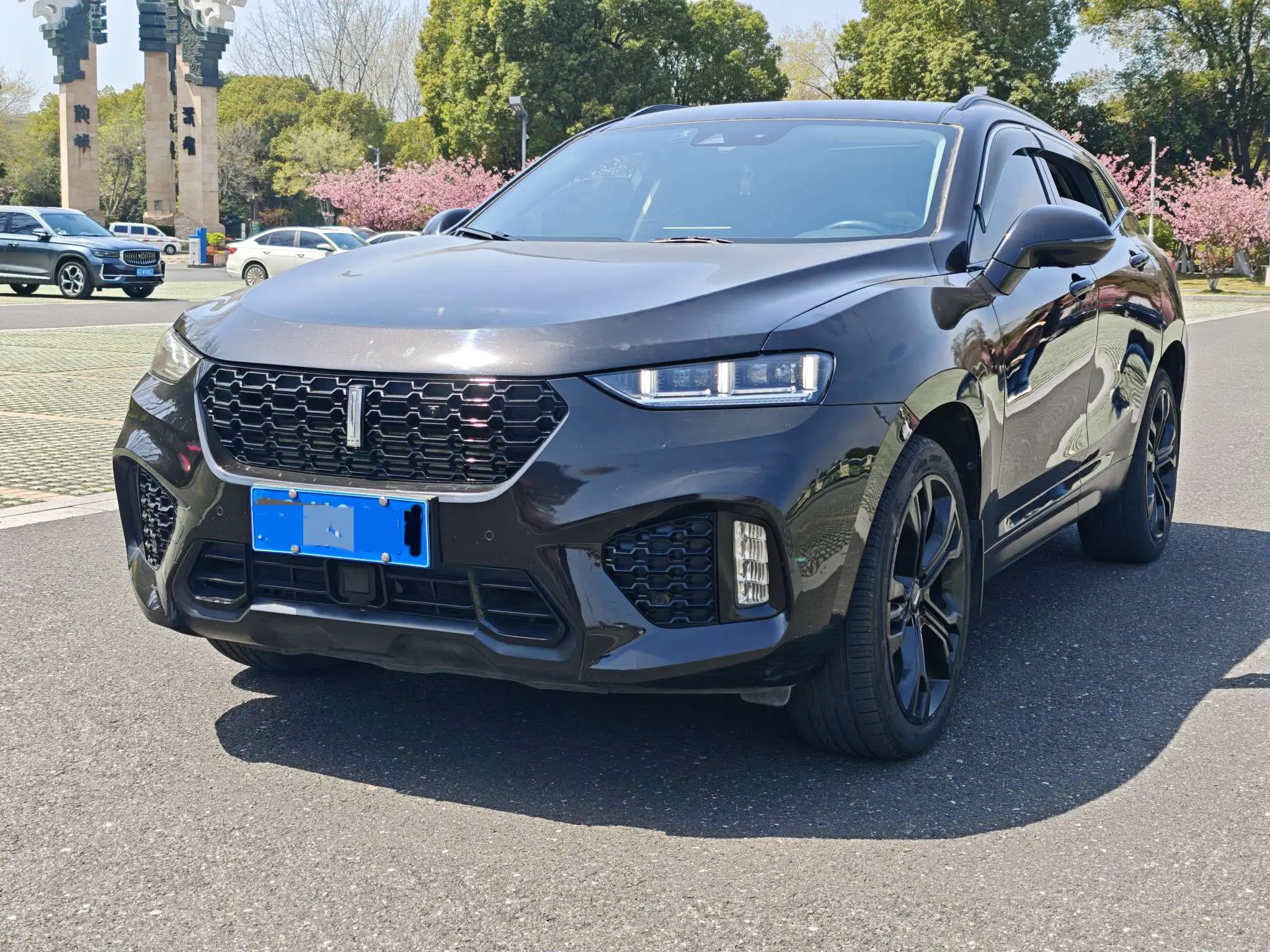 Wey Wei brand VV7
