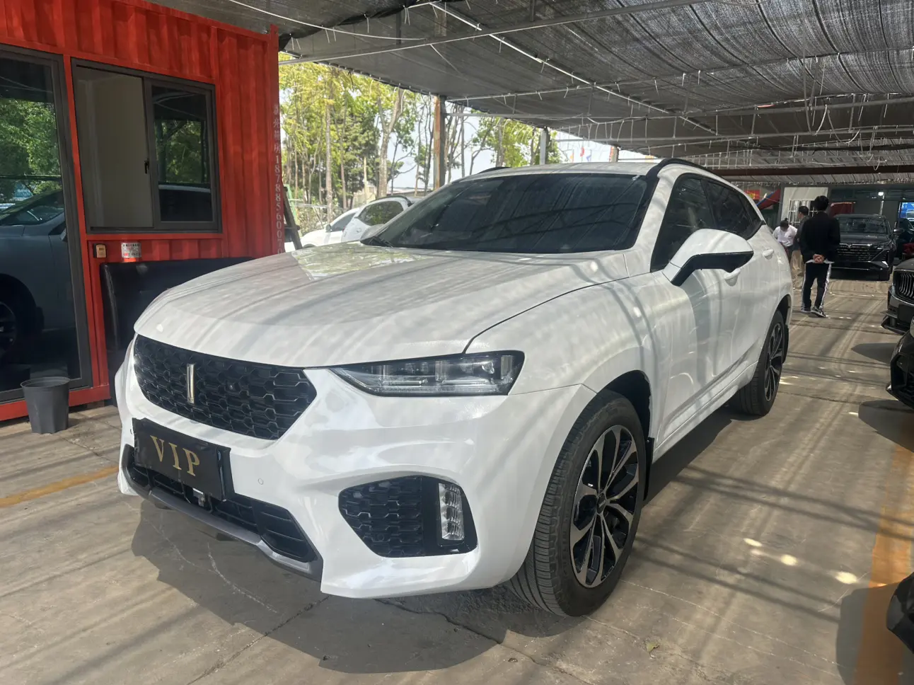 Wey Wei brand VV7