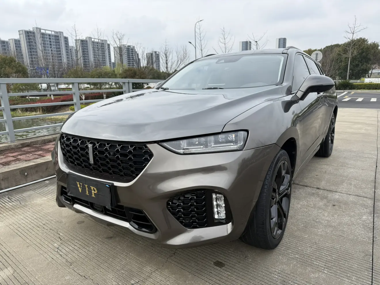 Wey Wei brand VV7