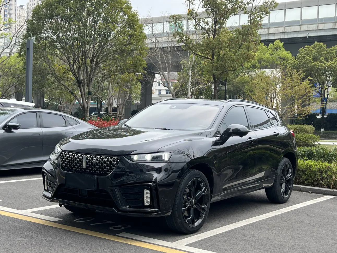 Wey Wei brand VV7