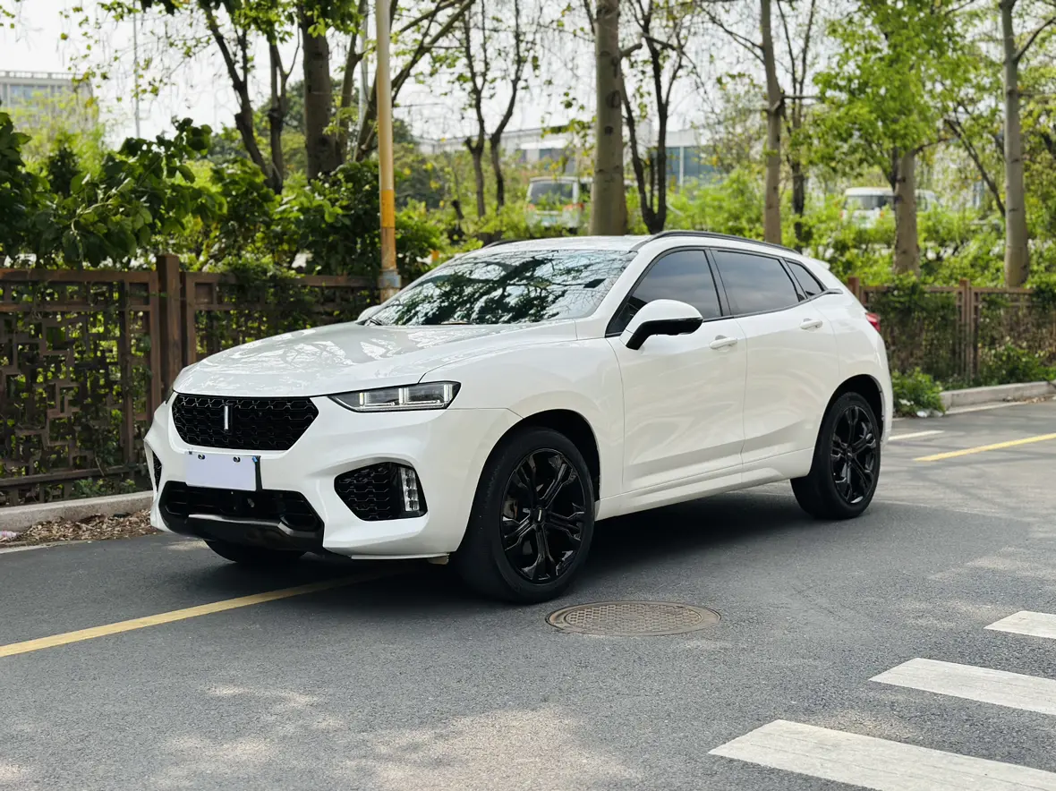 Wey Wei brand VV7