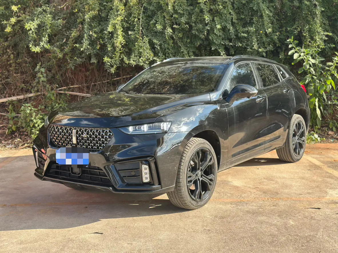 Wey Wei brand VV7