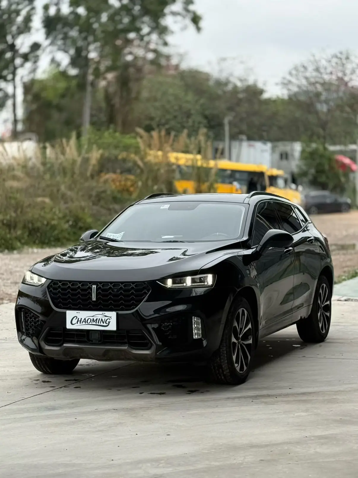 Wey Wei brand VV7