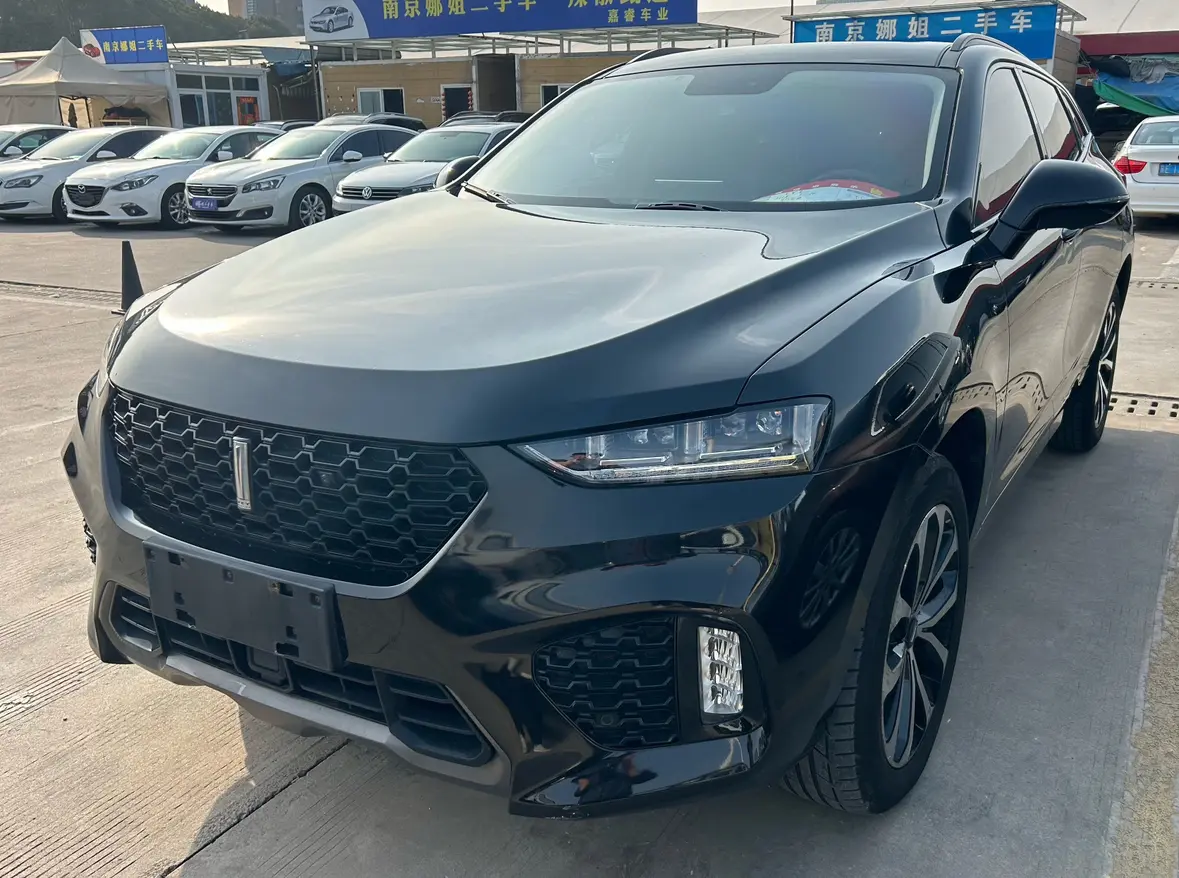 Wey Wei brand VV7