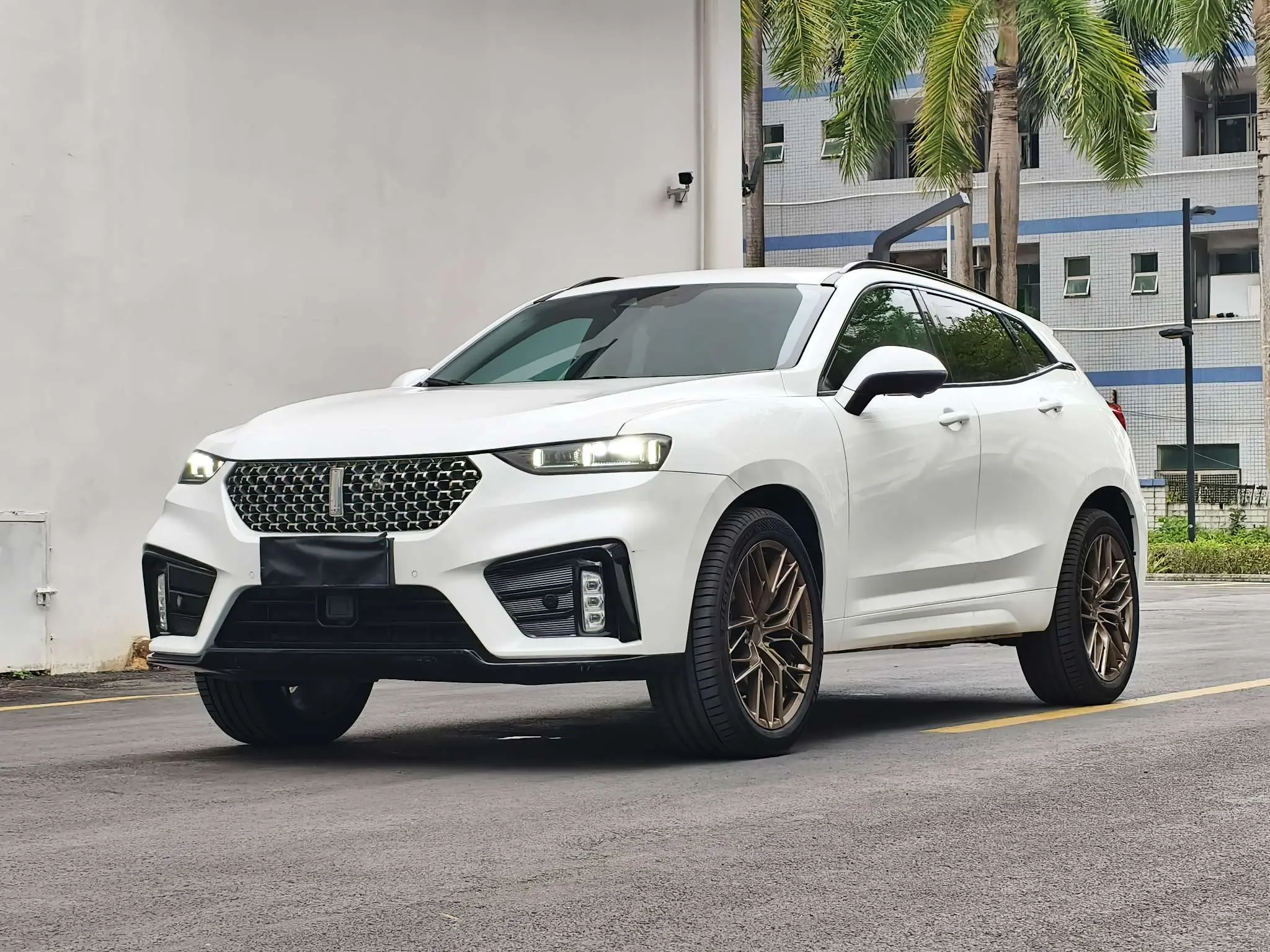 Wey Wei brand VV7