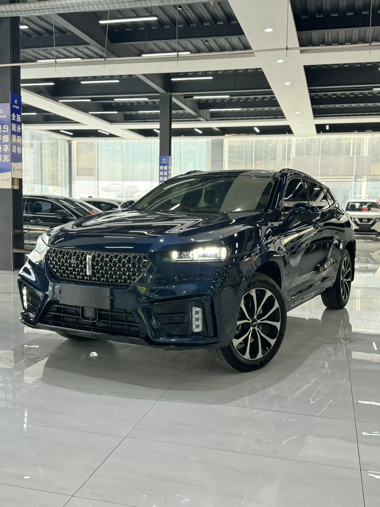 Wey Wei brand VV7
