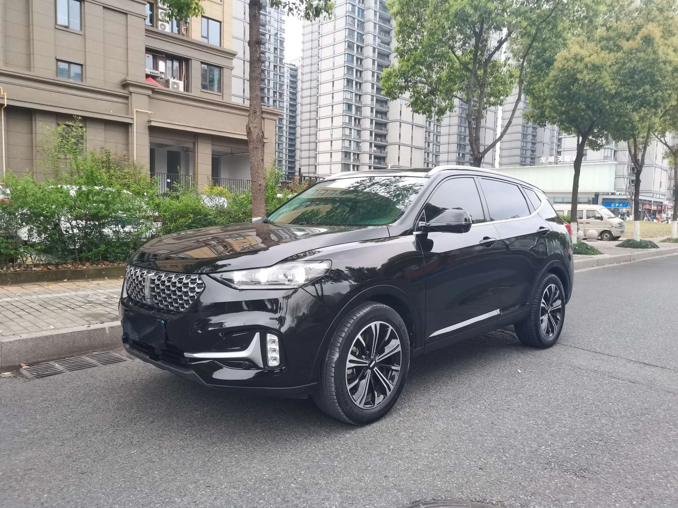Wey Wei brand VV6