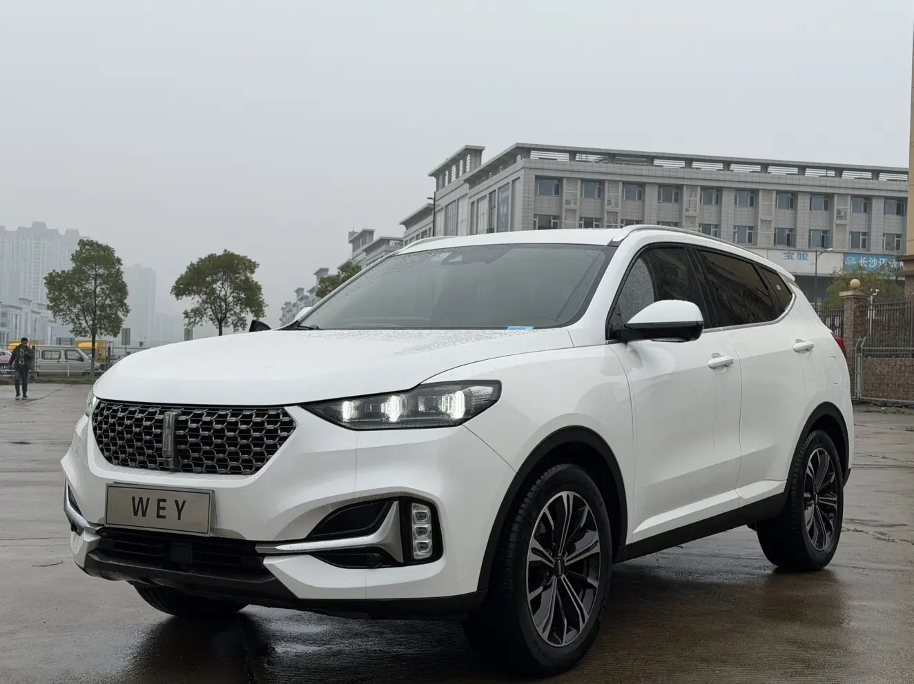 Wey Wei brand VV6
