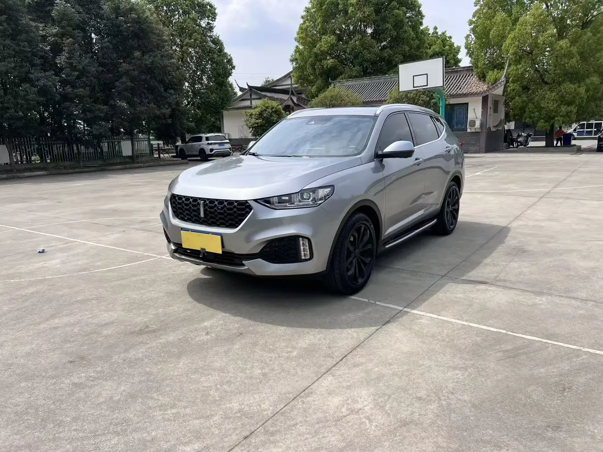 Wey Wei brand VV6