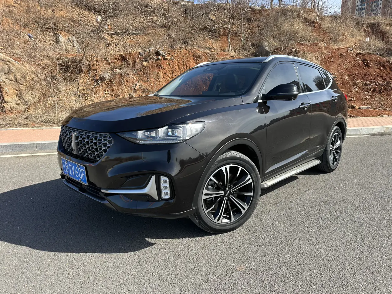 Wey Wei brand VV6