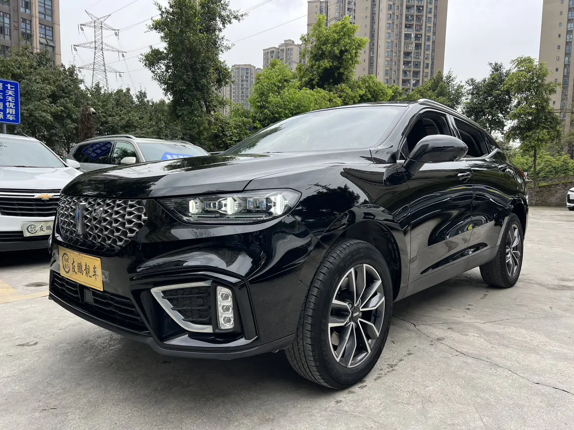Wey Wei brand VV5