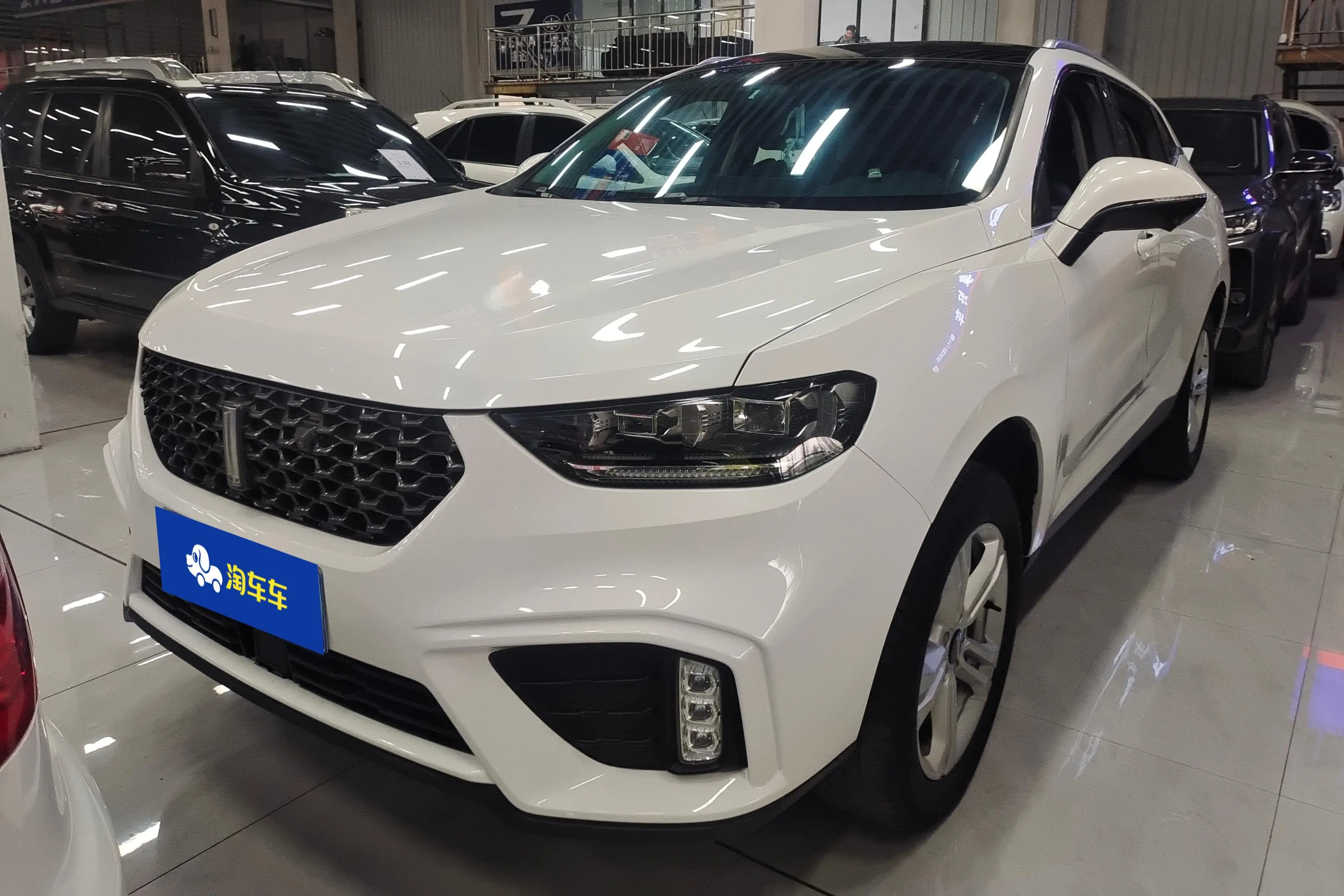 Wey Wei brand VV5