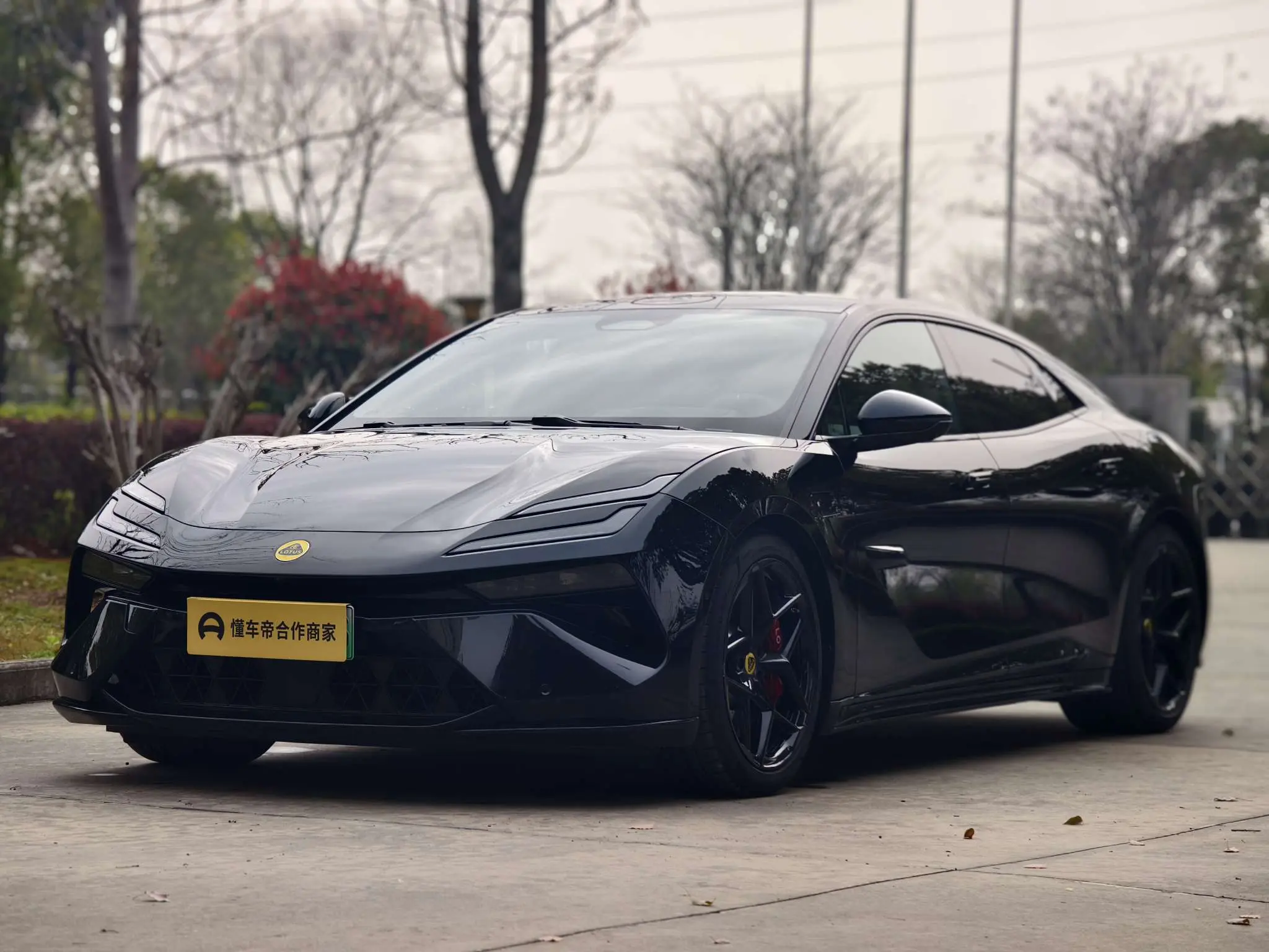 Lotus Emeya  из Китая