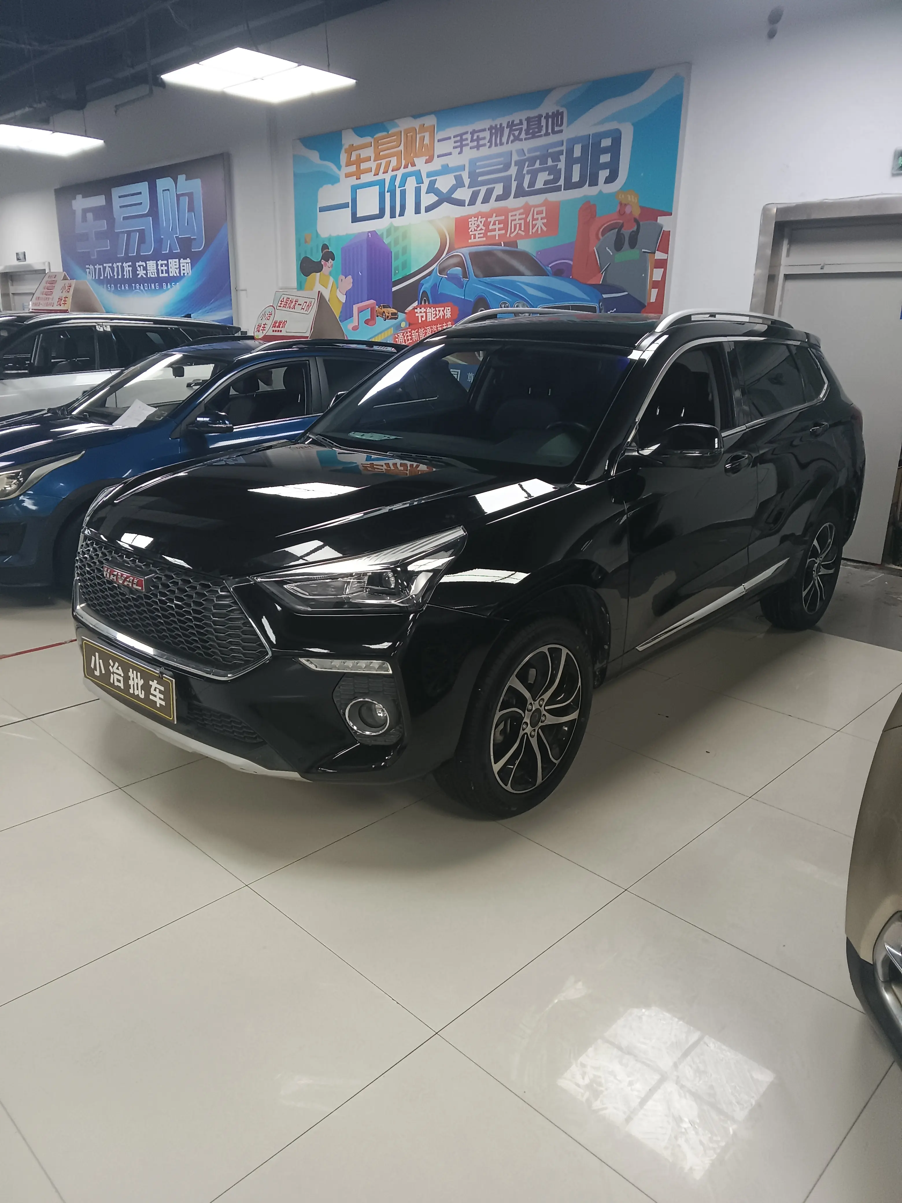 Haval H6 Coupe