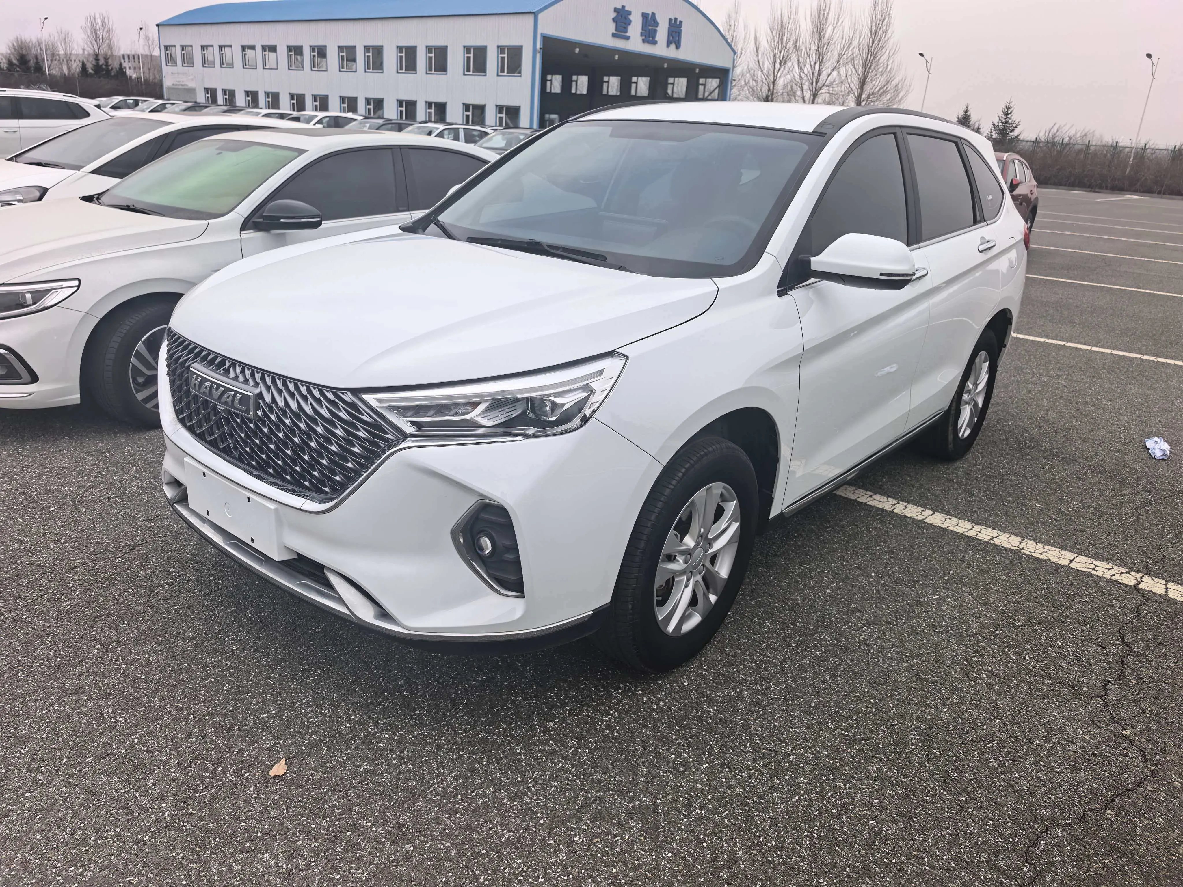 Haval M6