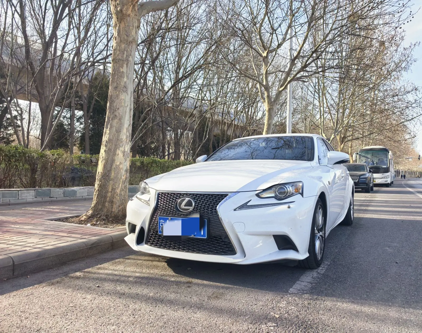 Lexus IS