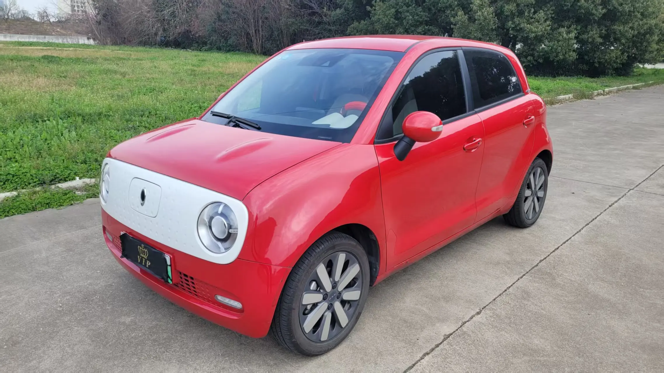 ORA Euler black cat  из Китая