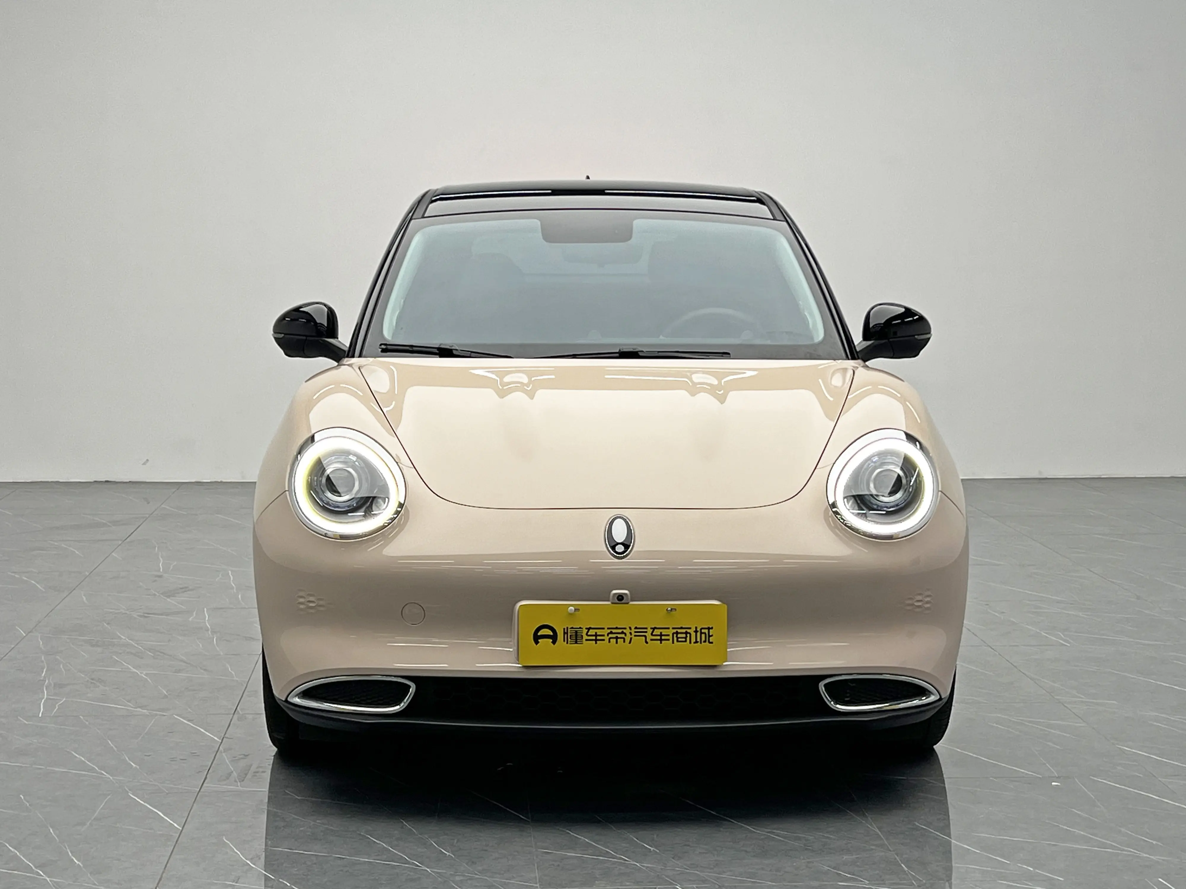 ORA Euler good cat  из Китая