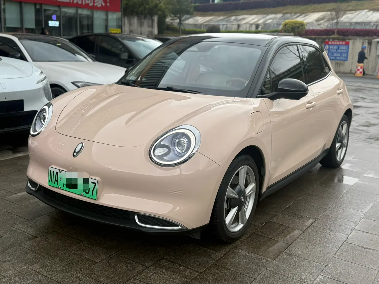 ORA Euler good cat  из Китая