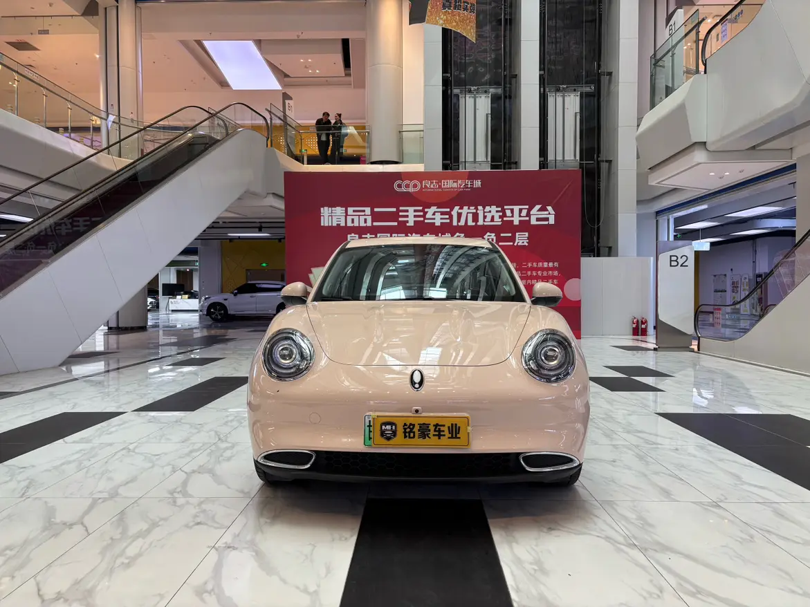 ORA Euler good cat  из Китая