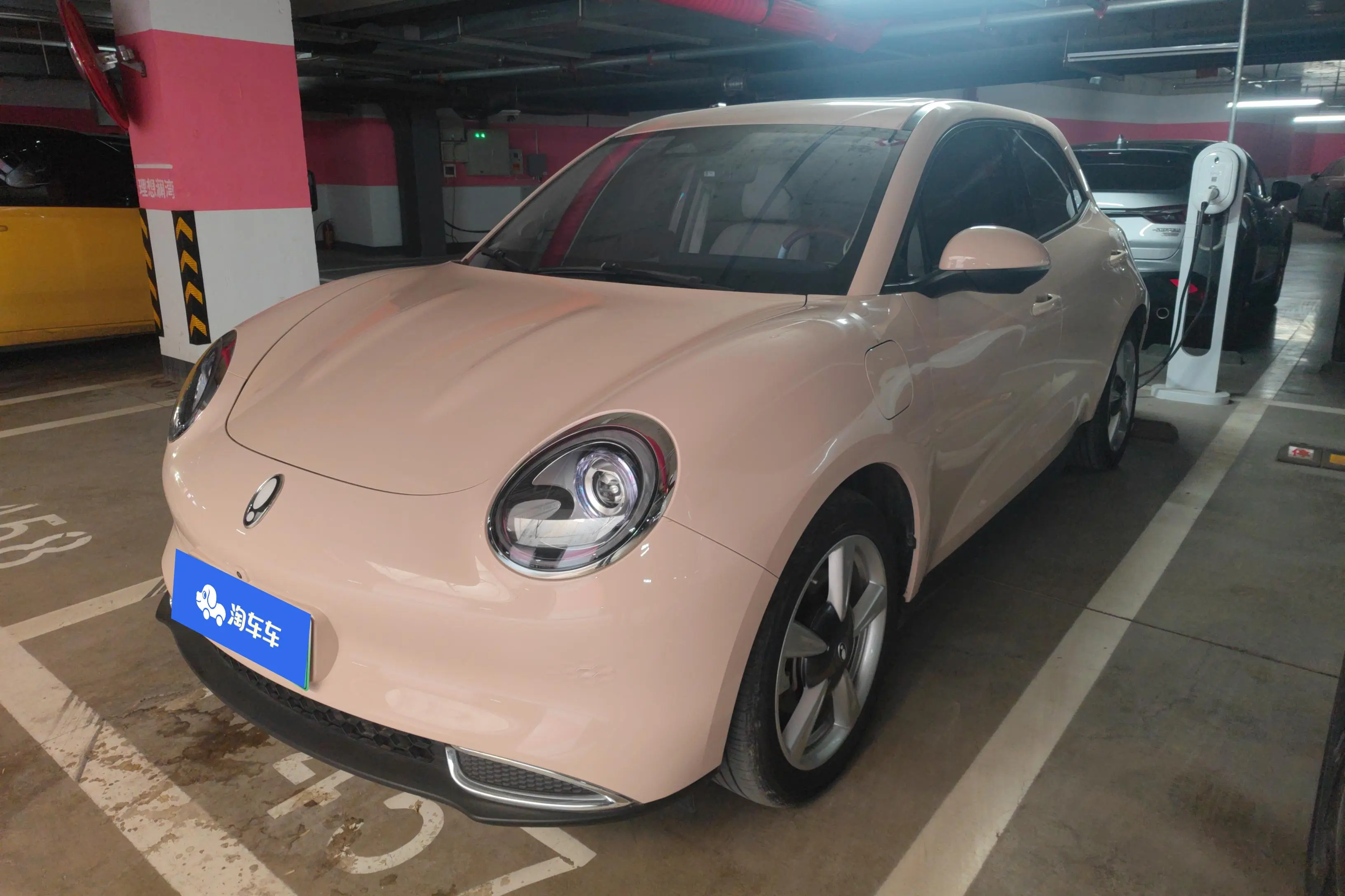 ORA Euler good cat  из Китая