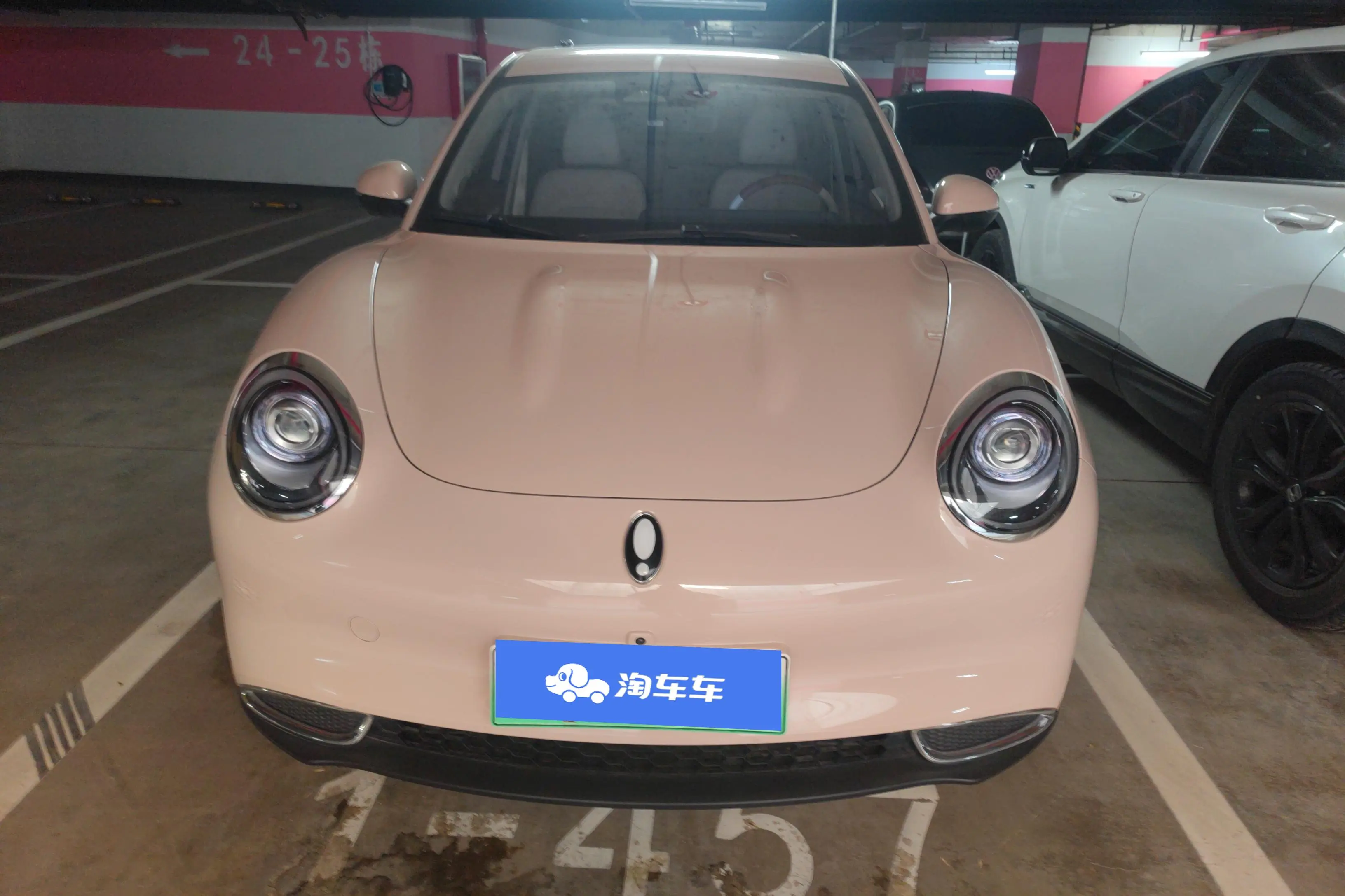 ORA Euler good cat  из Китая